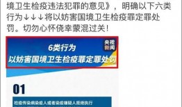 浙江公园吃瓜事件始末,一场意外引发的舆论风波