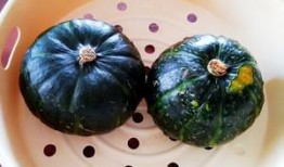 吃贝贝瓜便秘,健康生活新体验