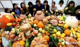 无敌吃瓜,揭秘娱乐圈那些不为人知的幕后故事