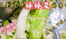 宜春老师吃瓜,一场校园风波背后的真相揭秘