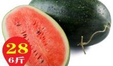 吃瓜头像12张,带你领略网络潮流风采