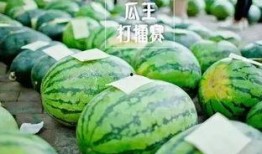 瓜王怎么吃