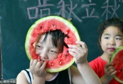 吃瓜和朋友,揭秘社交圈中的趣味与真相