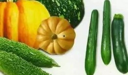 小西天吃瓜在哪,揭秘娱乐圈幕后故事