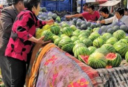 实现吃瓜自由视频,短视频时代的娱乐狂欢与反思