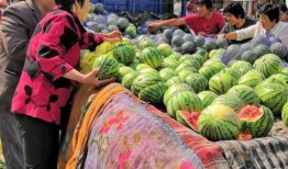 实现吃瓜自由视频,短视频时代的娱乐狂欢与反思