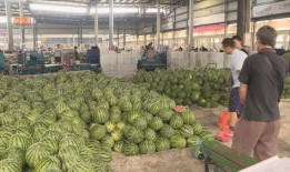 盐城在线吃瓜,揭秘网络吃瓜群众的狂欢盛宴