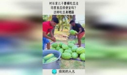 豪横吃瓜法,揭秘娱乐圈幕后风云