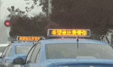 汤圆酱吃瓜GIF,趣味横生的瞬间捕捉