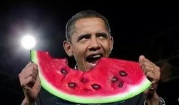 中国明星吃瓜看戏,中国明星的吃瓜看戏日常