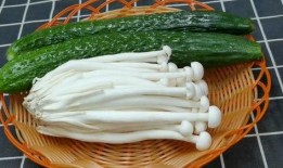 吃瓜小熊海鲜菇,吃瓜小熊带你探索海鲜菇的鲜美奥秘