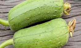 高血糖吃蒲瓜,天然降糖佳品