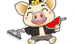 吃瓜娃娃动漫,动漫世界里的甜蜜瓜果冒险之旅