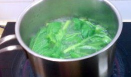 吃瓜煮水喝,品味生活百态