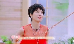 郑爽热搜吃瓜,揭秘娱乐圈的瓜田秘闻