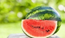 夏天吃瓜拍照室内,镜头下的清凉瞬间