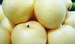 程yooo吃瓜,揭秘娱乐圈幕后故事