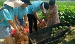 华北水利吃瓜,吃瓜群众眼中的水利变迁与民生福祉