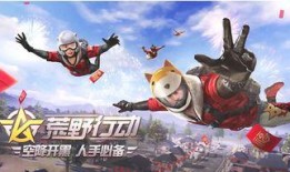 手游吃鸡的瓜,揭秘游戏背后的热点与争议