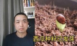 情侣吵架吃瓜文案,一场甜蜜与火花的碰撞