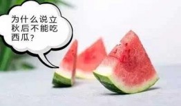 吃瓜转广告,揭秘美食背后的秘密