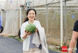 孙琳吃瓜,揭秘娱乐圈幕后故事