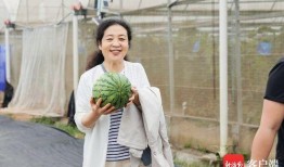 孙琳吃瓜,揭秘娱乐圈幕后故事