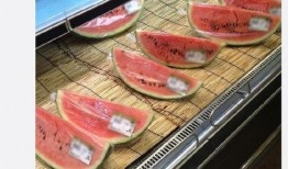 勺子吃瓜的gif,趣味横生的瞬间捕捉