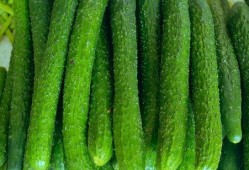 看瓜如何炒菜吃