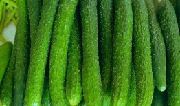 看瓜如何炒菜吃