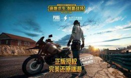 手游吃鸡的瓜,揭秘游戏背后的热点与争议