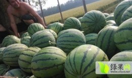 东营最新吃瓜热门事件,最新吃瓜热门事件，揭秘背后真相！