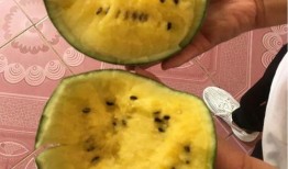 可口蜜瓜怎么吃,可口蜜瓜的多重食法探索