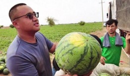 吃瓜骑行圈,揭秘骑行爱好者们的欢乐时光