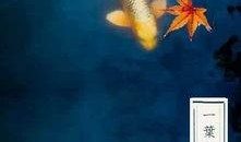 立秋吃瓜的古诗,古韵诗中的时令美味