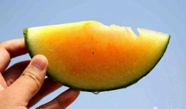 彩虹圈吃瓜群众,揭秘吃瓜群众的狂欢盛宴