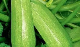 《吃瓜》图片全部,吃瓜群众视角下的娱乐圈风云录