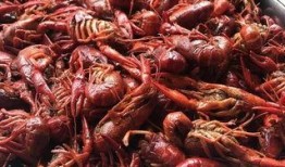 吃龙虾能吃瓜么,吃瓜消暑两不误？