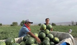佤族吃瓜,瓜果飘香中的民族饮食文化