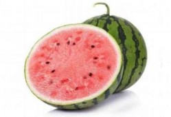 吃麒麟瓜感觉甜得咸,甜蜜与咸香的奇妙交融