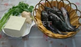 黑鱼可以和蒲瓜一起吃吗,健康搭配的饮食新选择