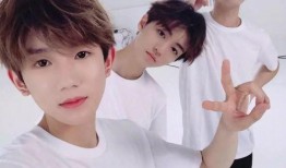 姨太吃瓜看tfboys,揭秘TFboys背后的故事与成长