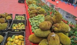 芒市本地吃瓜,探寻本地特色美食之旅