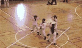 杰瑞吃瓜GIF,萌宠搞笑瞬间，萌态可掬引网友爆笑