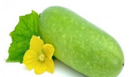 肾炎吃瓜么蔬菜,吃瓜还是其他？