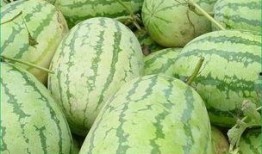 雷雨晨吃瓜,揭秘娱乐圈背后的秘密与真相