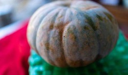 瓜瓣吃瓜,解锁夏日消暑新姿势