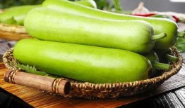 夏时吃瓜,一场别开生面的夏日盛宴