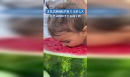 吃瓜 萌,揭秘娱乐圈的甜蜜与苦涩