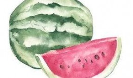 瓜瓣吃瓜,解锁夏日消暑新姿势